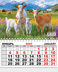 Одноблочный настенный календарь на 2027 год "Символ года"  КММ-27-007