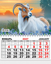 Одноблочный настенный календарь на 2027 год "Символ года"  КММ-27-008