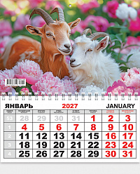 Одноблочный настенный календарь на 2027 год "Символ года"  КММ-27-006