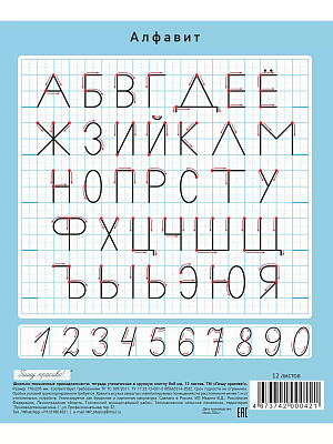 Тетрадь 12 листов  в крупную клетку 8х8 мм голубая обложка ( Мазина В.Д.)