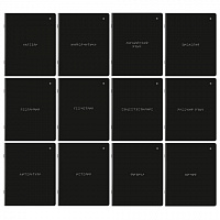 Тетради предметные, КОМПЛЕКТ 12 ПРЕДМЕТОВ, MINIMAL, 48л, матовая ламинация, BRAUBERG, 404831