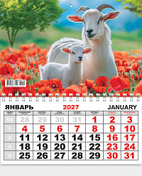 Одноблочный настенный календарь на 2027 год "Символ года"  КММ-27-009