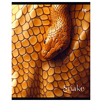 Тетрадь 48л., А5, клетка BG "Snake", выб.лак